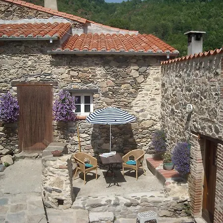 Guest house Mas Taillet Maison D'hotes Prats-de-Mollo-la-Preste