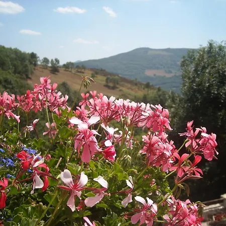 Guest house Mas Taillet Maison D'hotes