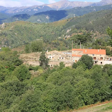 Mas Taillet Maison D'hotes Guest house
